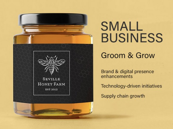 Small Business Brand & Supply Chain - Insignia